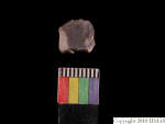 L_V23d1673 J1q9.1 Ux06 dM ls f3.jpg L_V23d1673 J1q9.1 Ux06 dM ls f3